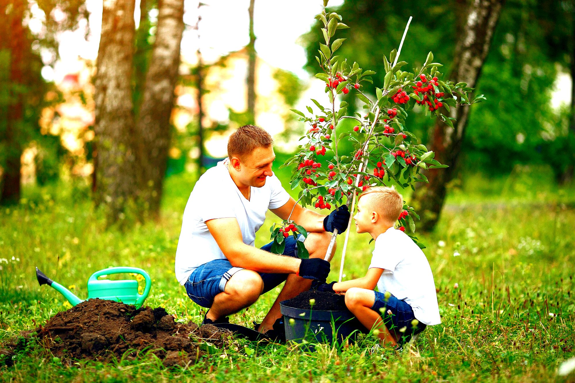 Gardening and outdoor