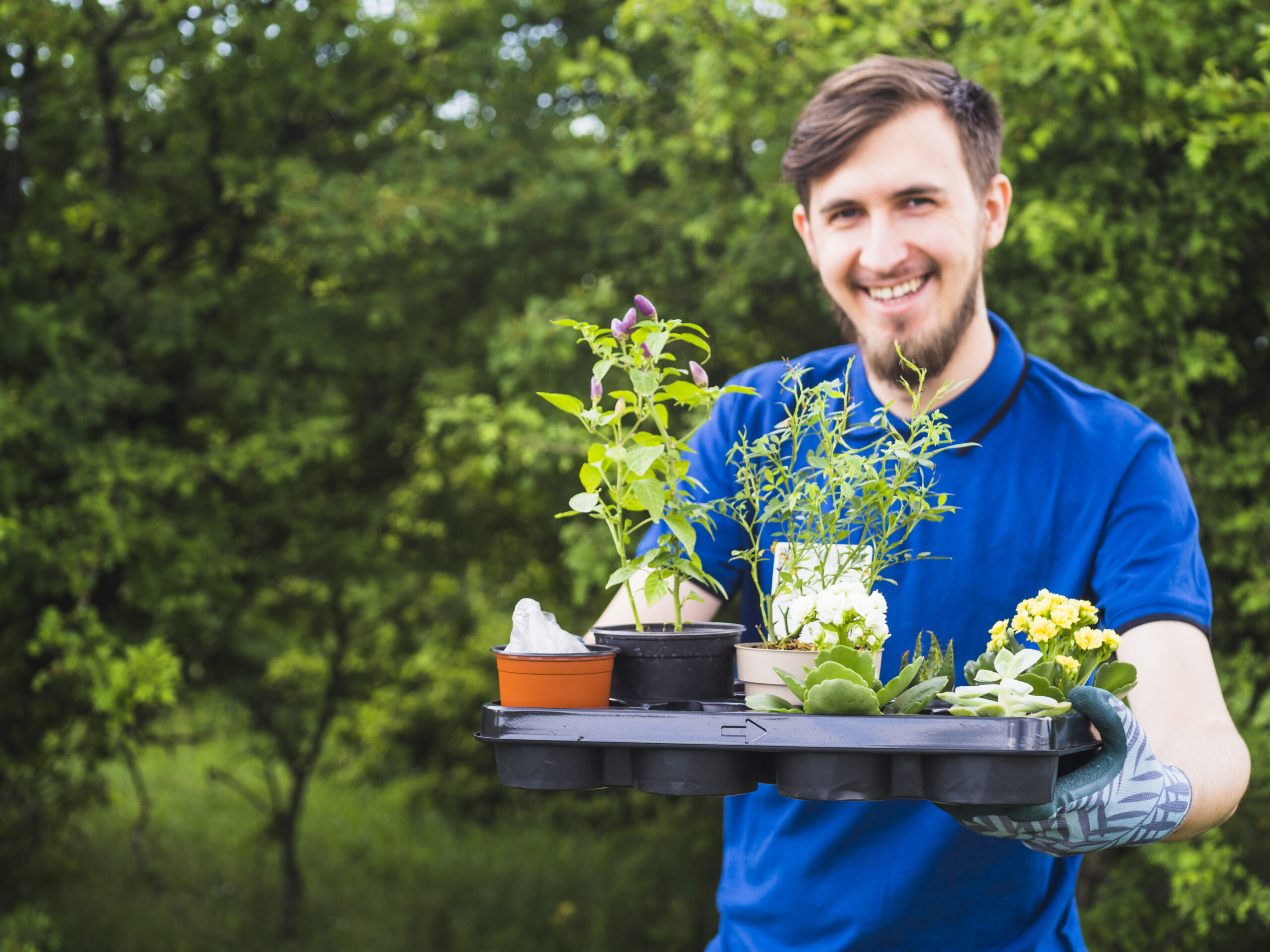 Gardening and outdoor